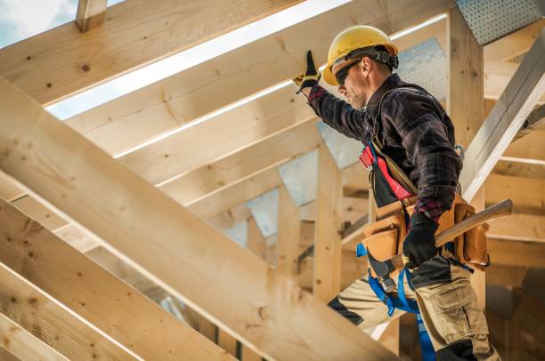 Best Roof Gutter Cleaning  in Lukachukai, AZ