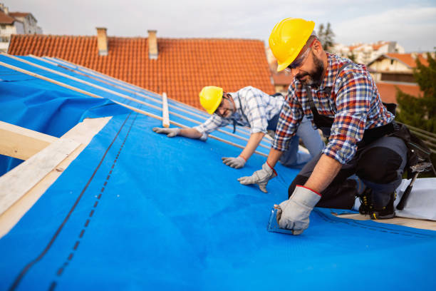 Gutter Installation and Roofing in Lukachukai, AZ