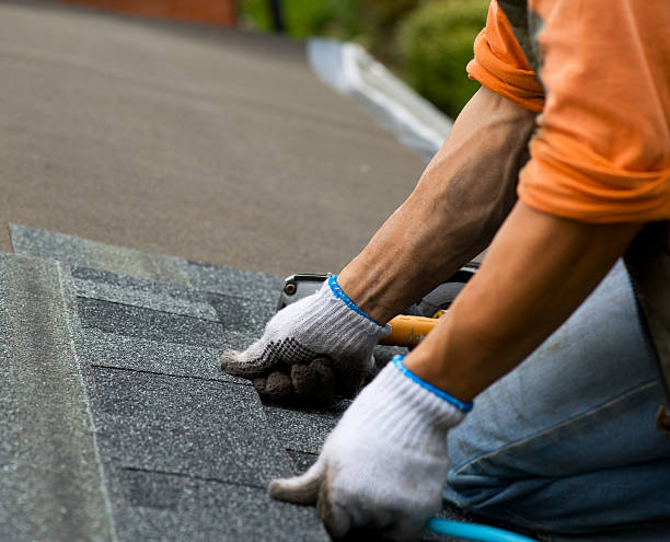 Best Metal Roofing Contractor  in Lukachukai, AZ