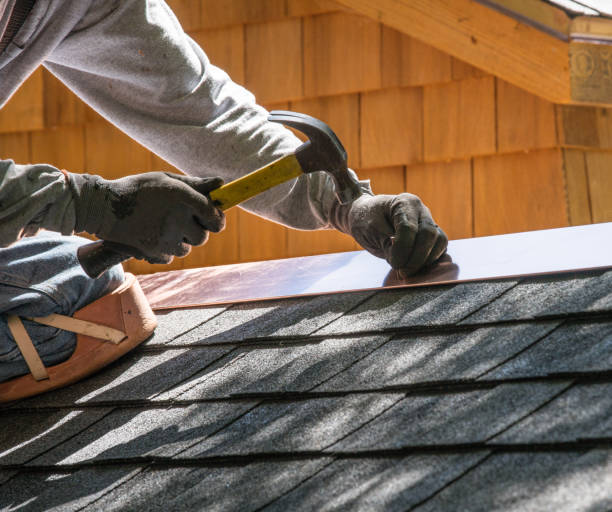 Best Shingle Roofing Installation  in Lukachukai, AZ